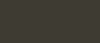 RAL 6006 - grey olive ( оливково-серый )