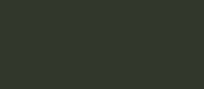 RAL 6009 - fir green ( зеленая ель )