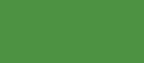 RAL 6017 - may green ( зеленый май )