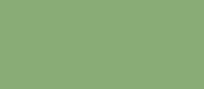 RAL 6021 - patе green ( бледно-зеленый )
