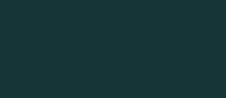 RAL 6036 - pearl opal green ( перламутр зеленый опал )