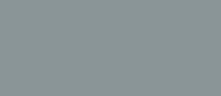 RAL 7001 - silver grey ( серебряный серый )