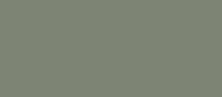 RAL 7033 - cement grey (серый цемент )