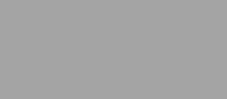 RAL 9006 - white aluminium ( металлик, белый алюминевый )