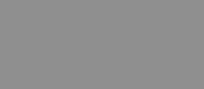 RAL 9007 - grey aluminium ( металлик, серый алюминий )